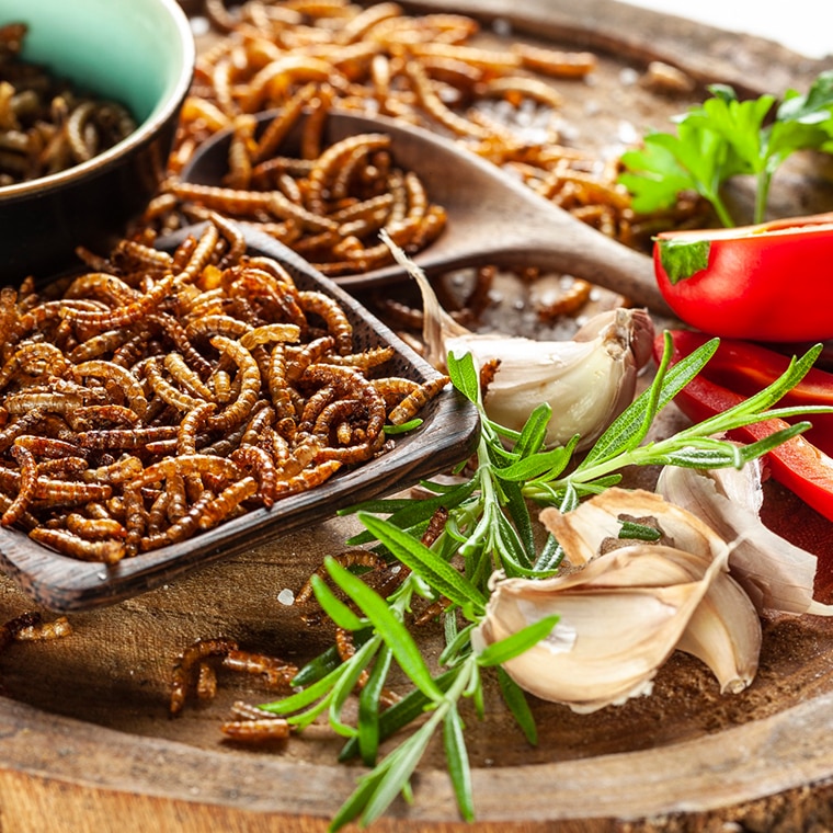 SENS Spicy Worms Gift Set